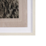 Bear Focus - Hush by Wink Gaines a Hand Embelished Textured Framed Art Photo Matted under Glass by Mercana at Eve Furniture