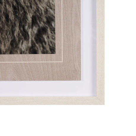 Bear Focus - Hush by Wink Gaines a Hand Embelished Textured Framed Art Photo Matted under Glass by Mercana at Eve Furniture