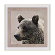Bear Focus - Hush by Wink Gaines a Hand Embelished Textured Framed Art Photo Matted under Glass by Mercana at Eve Furniture