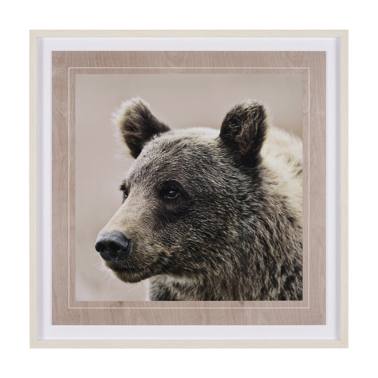 Bear Focus - Hush by Wink Gaines a Hand Embelished Textured Framed Art Photo Matted under Glass by Mercana at Eve Furniture