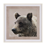 Bear Focus - Hush by Wink Gaines a Hand Embelished Textured Framed Art Photo Matted under Glass by Mercana at Eve Furniture
