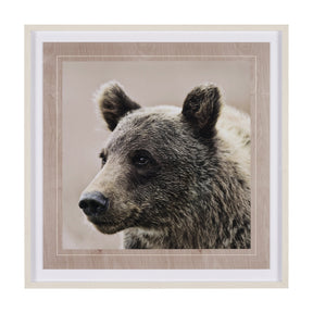 Bear Focus - Hush by Wink Gaines a Hand Embelished Textured Framed Art Photo Matted under Glass by Mercana at Eve Furniture