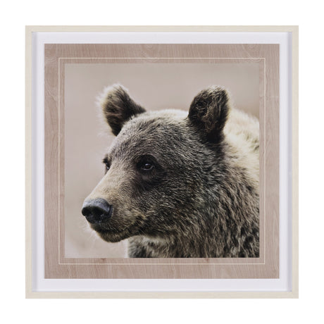 Bear Focus - Hush by Wink Gaines a Hand Embelished Textured Framed Art Photo Matted under Glass by Mercana at Eve Furniture