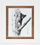 Bears at Play V by PHBurchett a Framed Photo Art Print Matted under Glass by Mercana at Eve Furniture