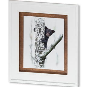 Bears at Play V by PHBurchett a Framed Photo Art Print Matted under Glass by Mercana at Eve Furniture