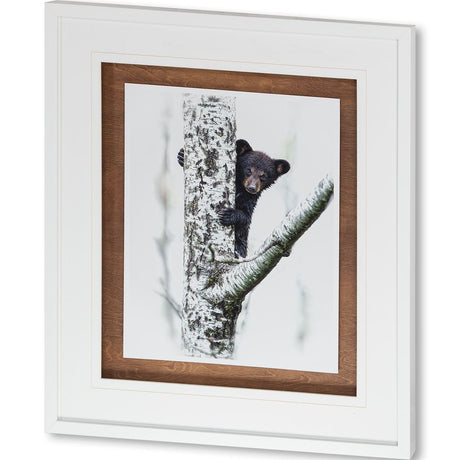 Bears at Play V by PHBurchett a Framed Photo Art Print Matted under Glass by Mercana at Eve Furniture