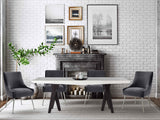Beatrix Grey Velvet Side Chair - Silver Legs by TOV Furniture at Eve Furniture