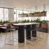 Beaufort Black Barstool (Set of 2) by Zuomod at Eve Furniture