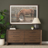 Belford 6-Drawer Dark Brown Oak Wood Dresser by Mercana at Eve Furniture