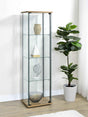 Bellatrix Mango 3-shelf Clear Glass Curio Cabinet by Coaster at Eve Furniture