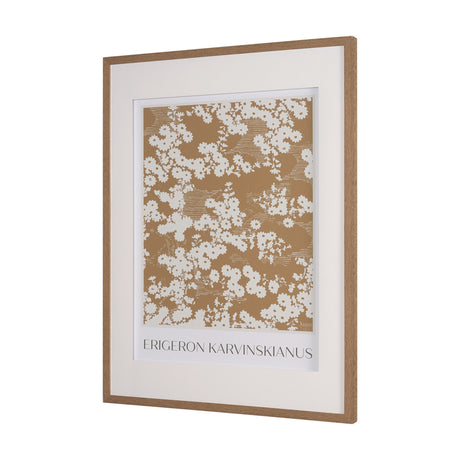 Belleza En Flores II by Mercana Studio a Framed Art Print Matted under Glass by Mercana at Eve Furniture