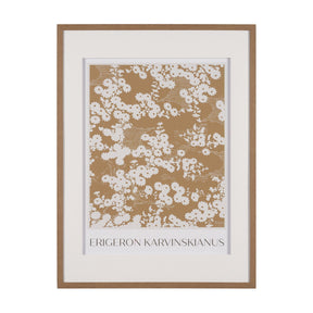 Belleza En Flores II by Mercana Studio a Framed Art Print Matted under Glass by Mercana at Eve Furniture