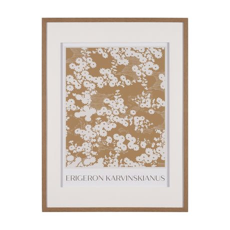 Belleza En Flores II by Mercana Studio a Framed Art Print Matted under Glass by Mercana at Eve Furniture