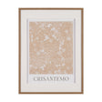 Belleza En Flores III by Mercana Studio a Framed Art Print Matted under Glass by Mercana at Eve Furniture