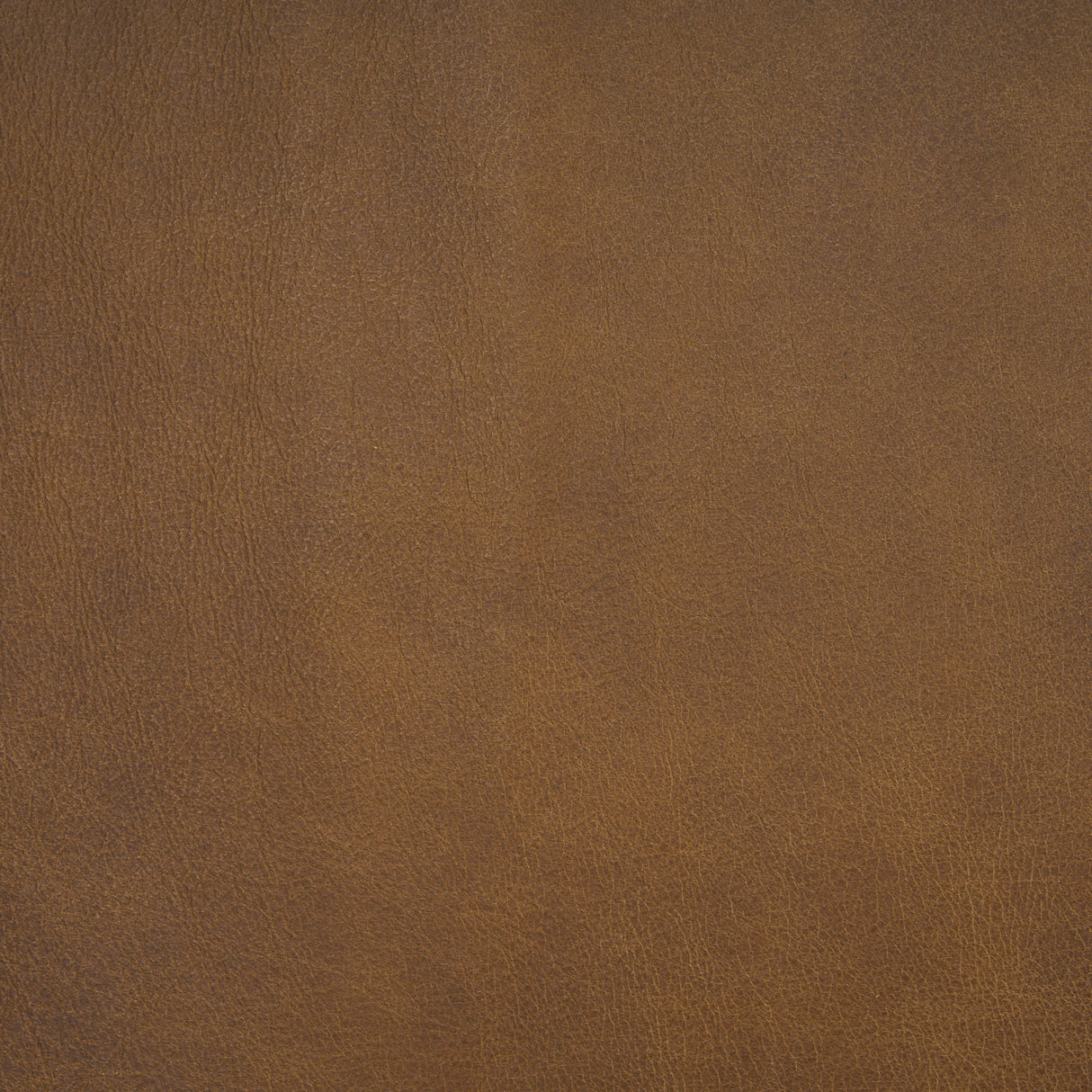 Berbick 33" Total Height Medium Brown Leather w/ Iron Frame Dining Chair by Mercana at Eve Furniture
