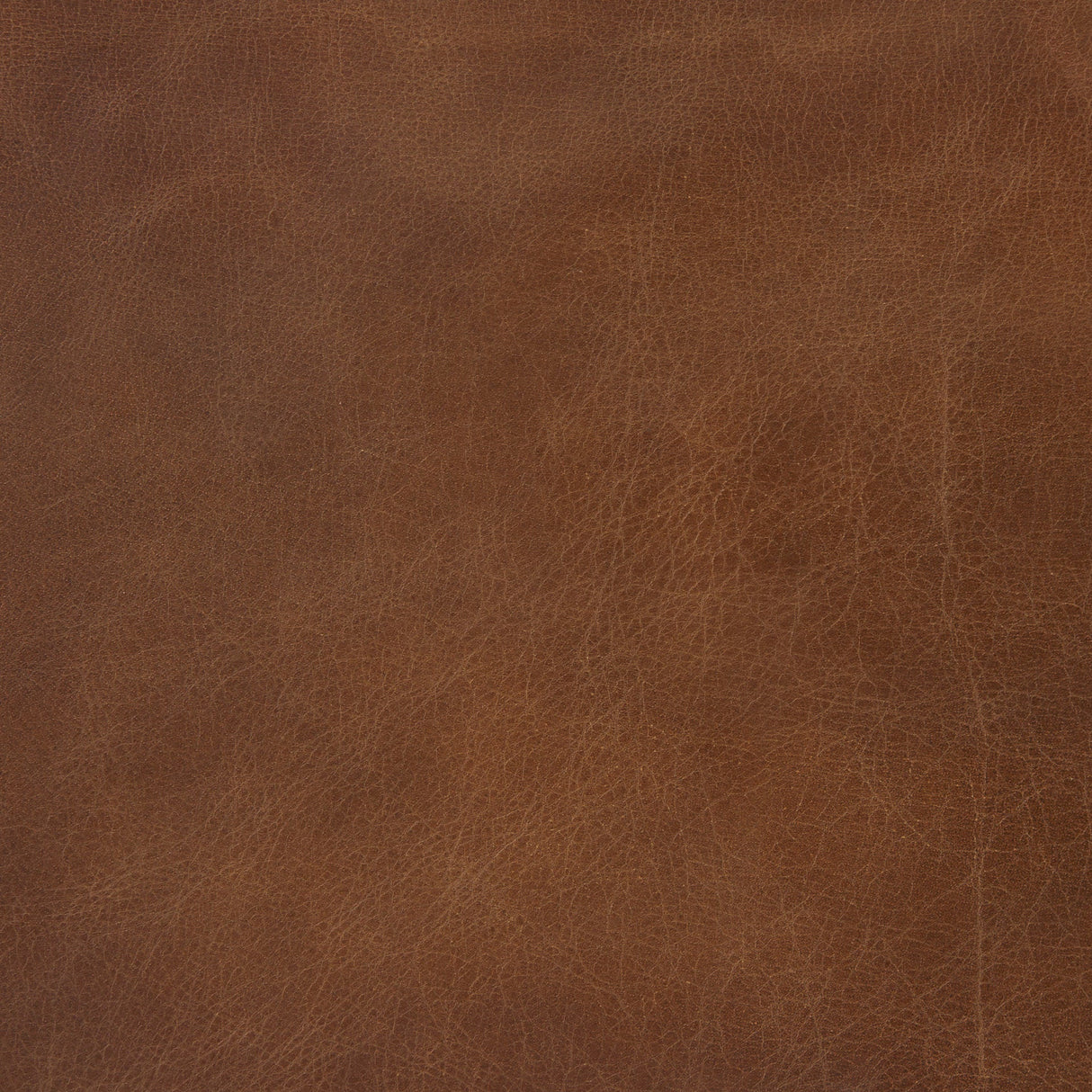 Berbick Medium Brown Leather W/ Iron Frame Counter Stool by Mercana at Eve Furniture