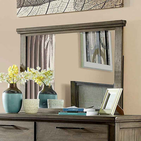 Berenice Gray Mirror by Furniture of America at Eve Furniture