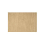 Berkley Natural Console Table by Moe's Home at Eve Furniture