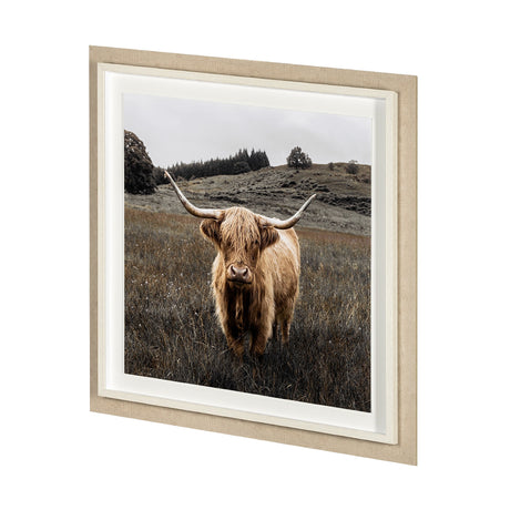 Bernie by Assaf Frank a Framed Photo Art Print Matted under Glass by Mercana at Eve Furniture