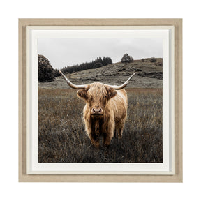 Bernie by Assaf Frank a Framed Photo Art Print Matted under Glass by Mercana at Eve Furniture