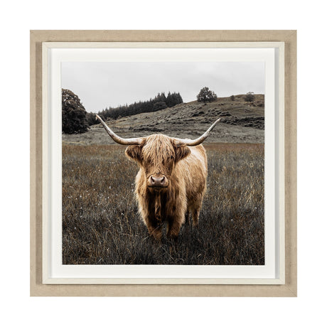 Bernie by Assaf Frank a Framed Photo Art Print Matted under Glass by Mercana at Eve Furniture