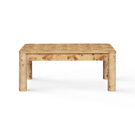 Berri 39" Natural Burl Coffee Table by TOV Furniture at Eve Furniture