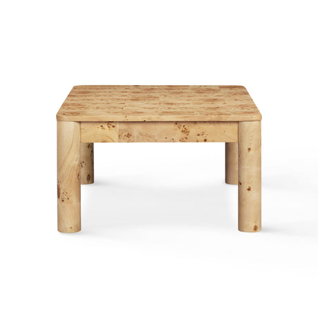 Berri 39" Natural Burl Coffee Table by TOV Furniture at Eve Furniture