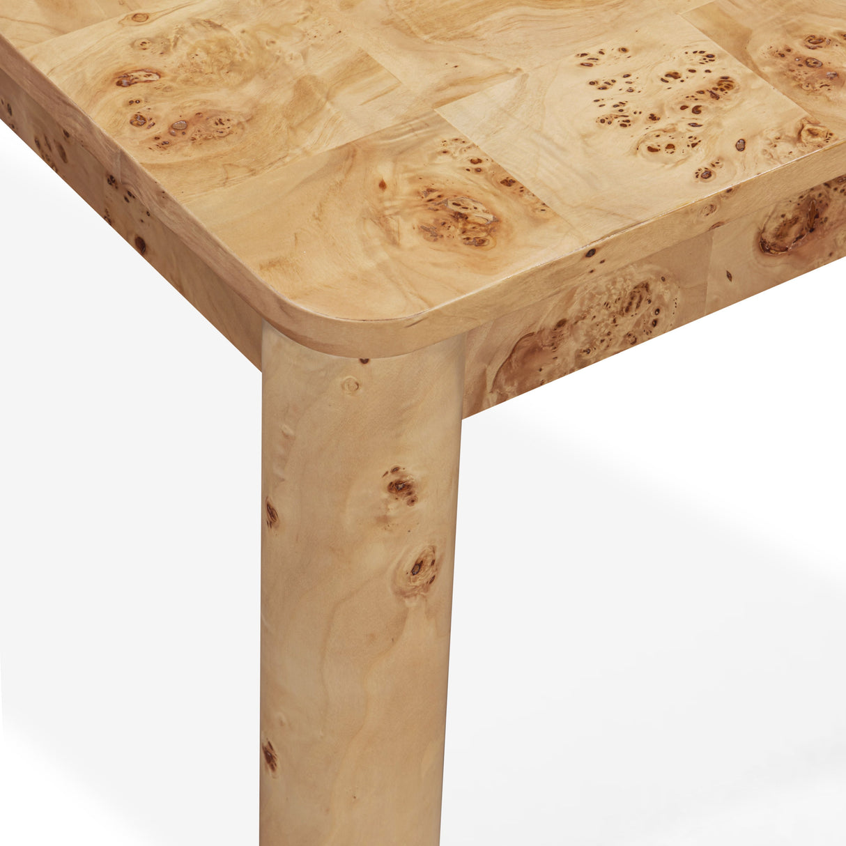 Berri 39" Natural Burl Coffee Table by TOV Furniture at Eve Furniture