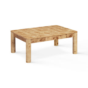 Berri 39" Natural Burl Coffee Table by TOV Furniture at Eve Furniture