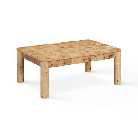 Berri 39" Natural Burl Coffee Table by TOV Furniture at Eve Furniture