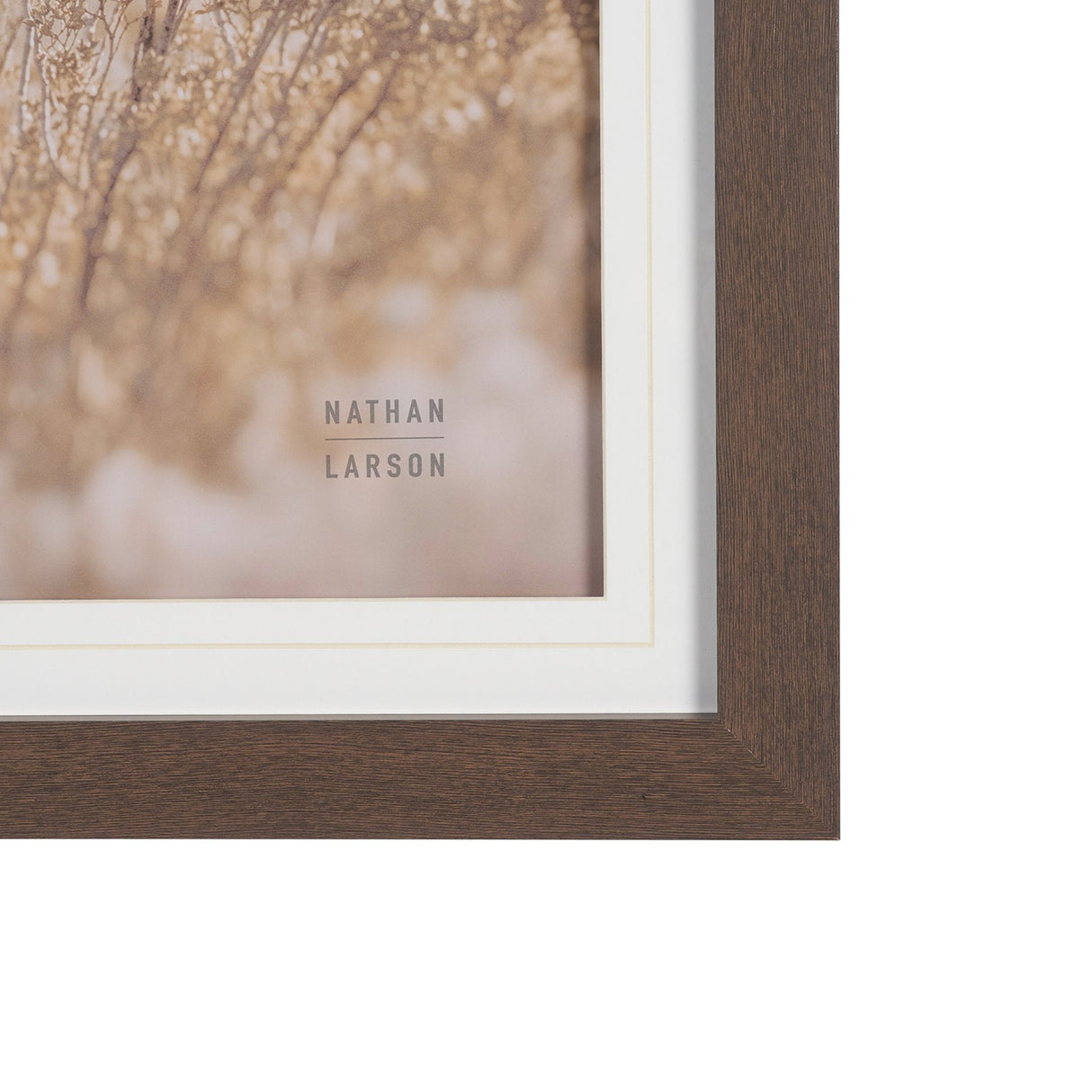Big Bend National Park by Nathan Larson FramedPhoto Print Matted Under Glass by Mercana at Eve Furniture