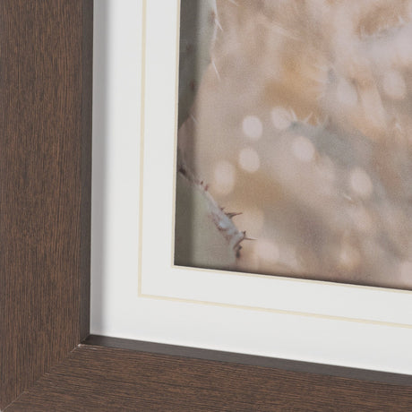 Big Bend National Park by Nathan Larson FramedPhoto Print Matted Under Glass by Mercana at Eve Furniture