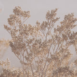 Big Bend National Park by Nathan Larson FramedPhoto Print Matted Under Glass by Mercana at Eve Furniture
