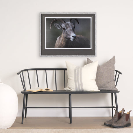 Big Horn Sheep by Chad Mackay a Hand Embellished Textured Framed Photo Art Print Matted under Glass by Mercana at Eve Furniture