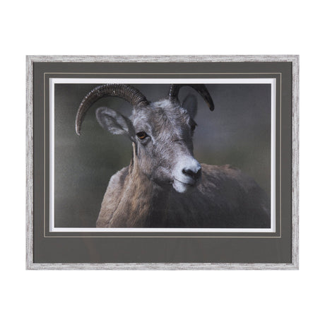 Big Horn Sheep by Chad Mackay a Hand Embellished Textured Framed Photo Art Print Matted under Glass by Mercana at Eve Furniture