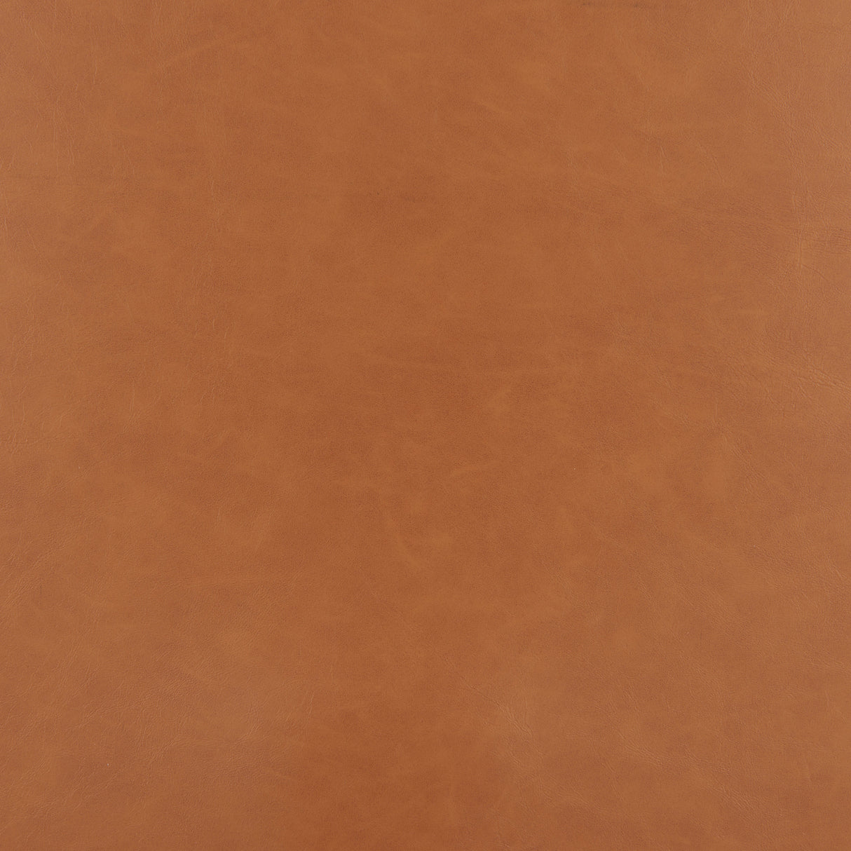 Birao Brown Office Chair by Zuomod at Eve Furniture
