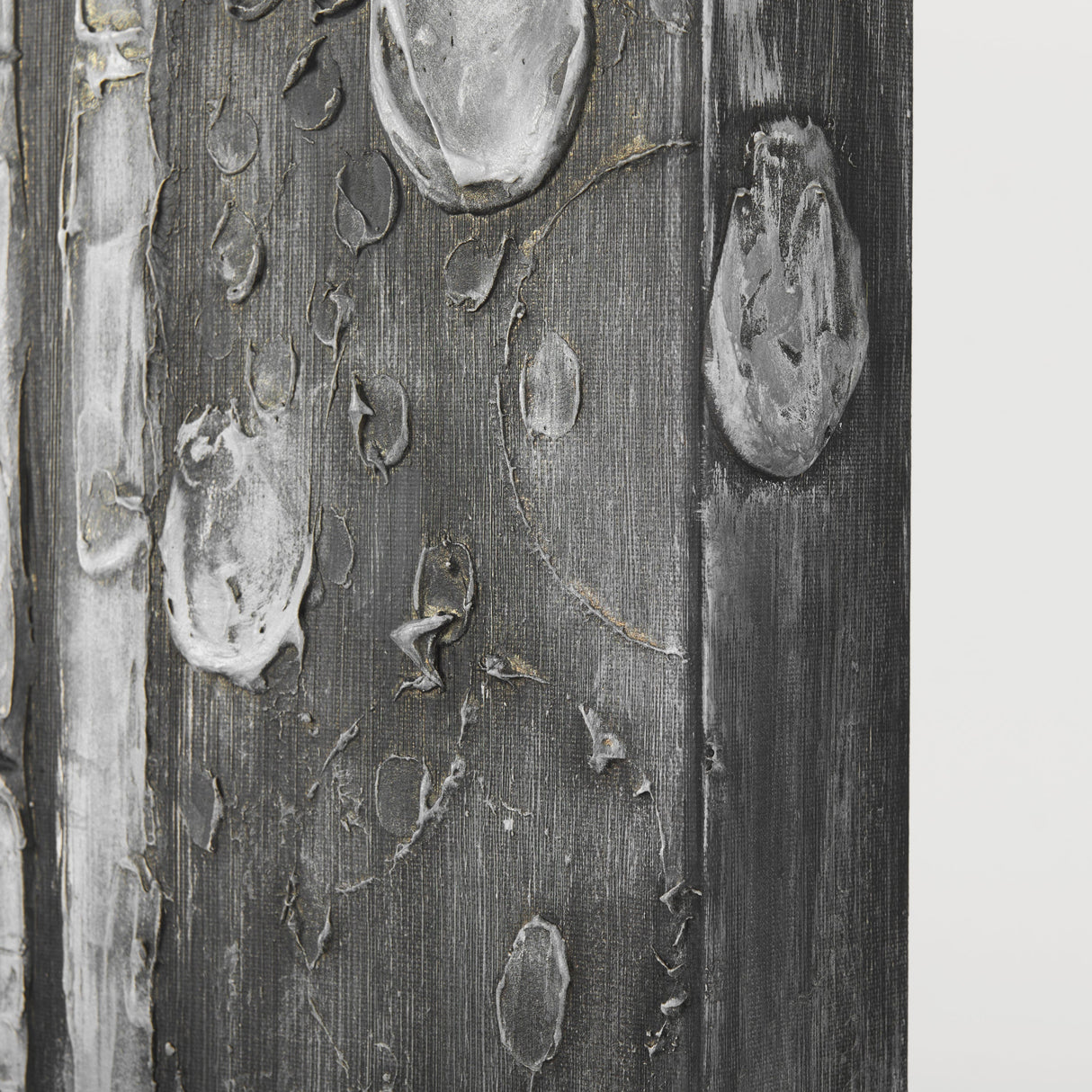 Birch Trees by Studio M a Hand Embellished Gallery-Wrapped Canvas Print by Mercana at Eve Furniture