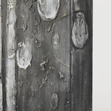 Birch Trees by Studio M a Hand Embellished Gallery-Wrapped Canvas Print by Mercana at Eve Furniture