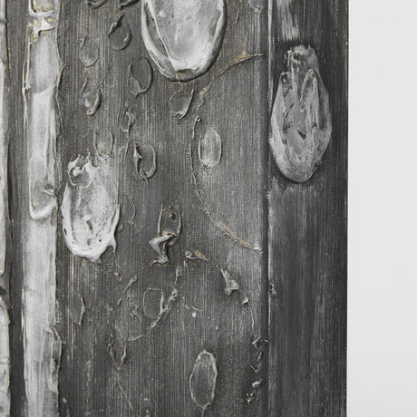 Birch Trees by Studio M a Hand Embellished Gallery-Wrapped Canvas Print by Mercana at Eve Furniture