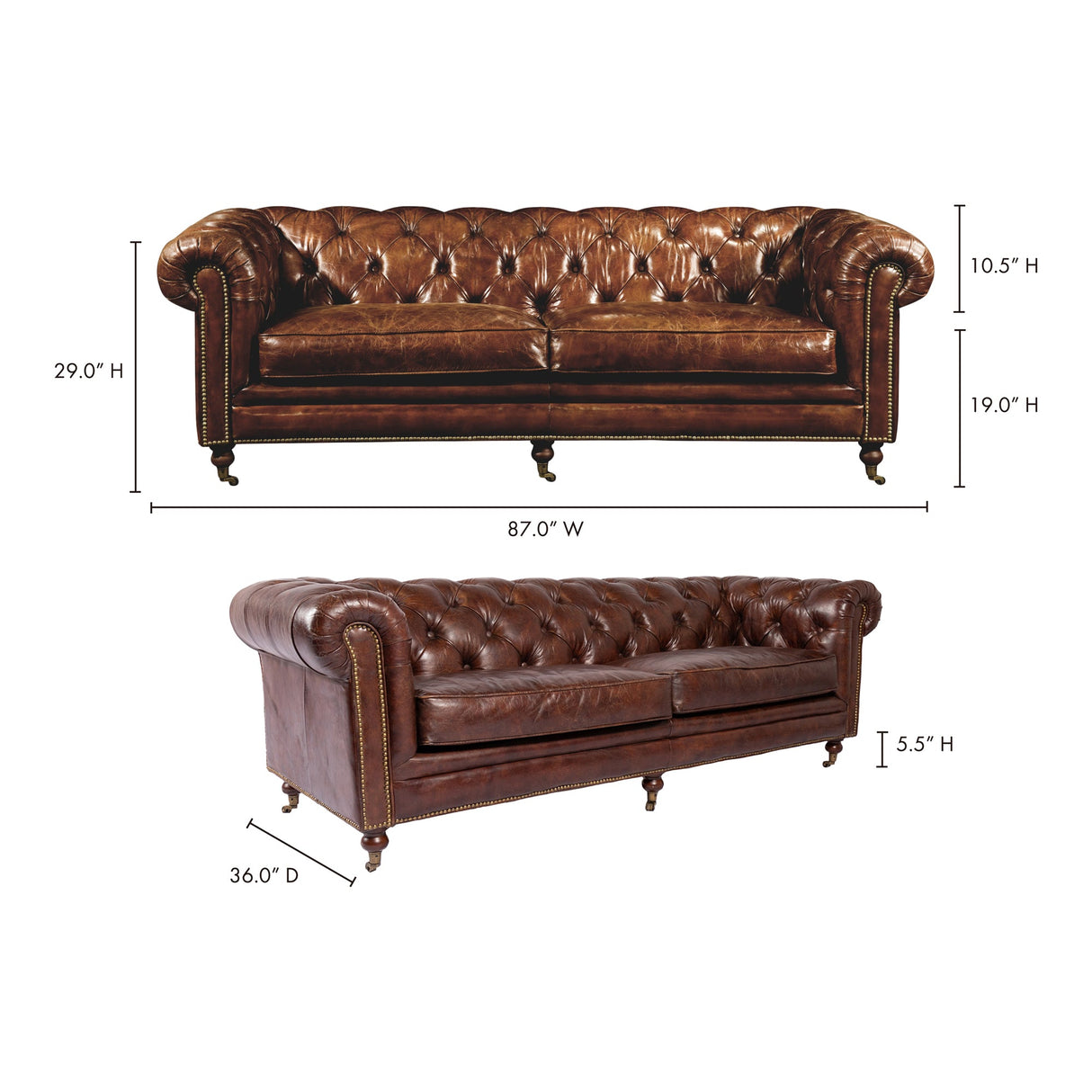 Birmingham Dark Brown Leather Sofa by Moe's Home at Eve Furniture