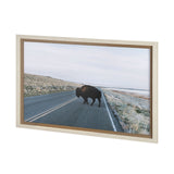 Bison Crossing by Chelsea Victoria a Hand Embelished Textured Framed Photo Art Print Matted under Gl by Mercana at Eve Furniture