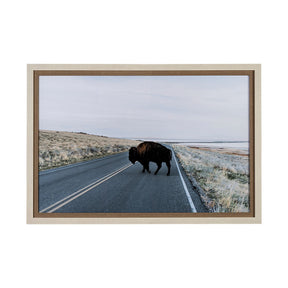 Bison Crossing by Chelsea Victoria a Hand Embelished Textured Framed Photo Art Print Matted under Gl by Mercana at Eve Furniture