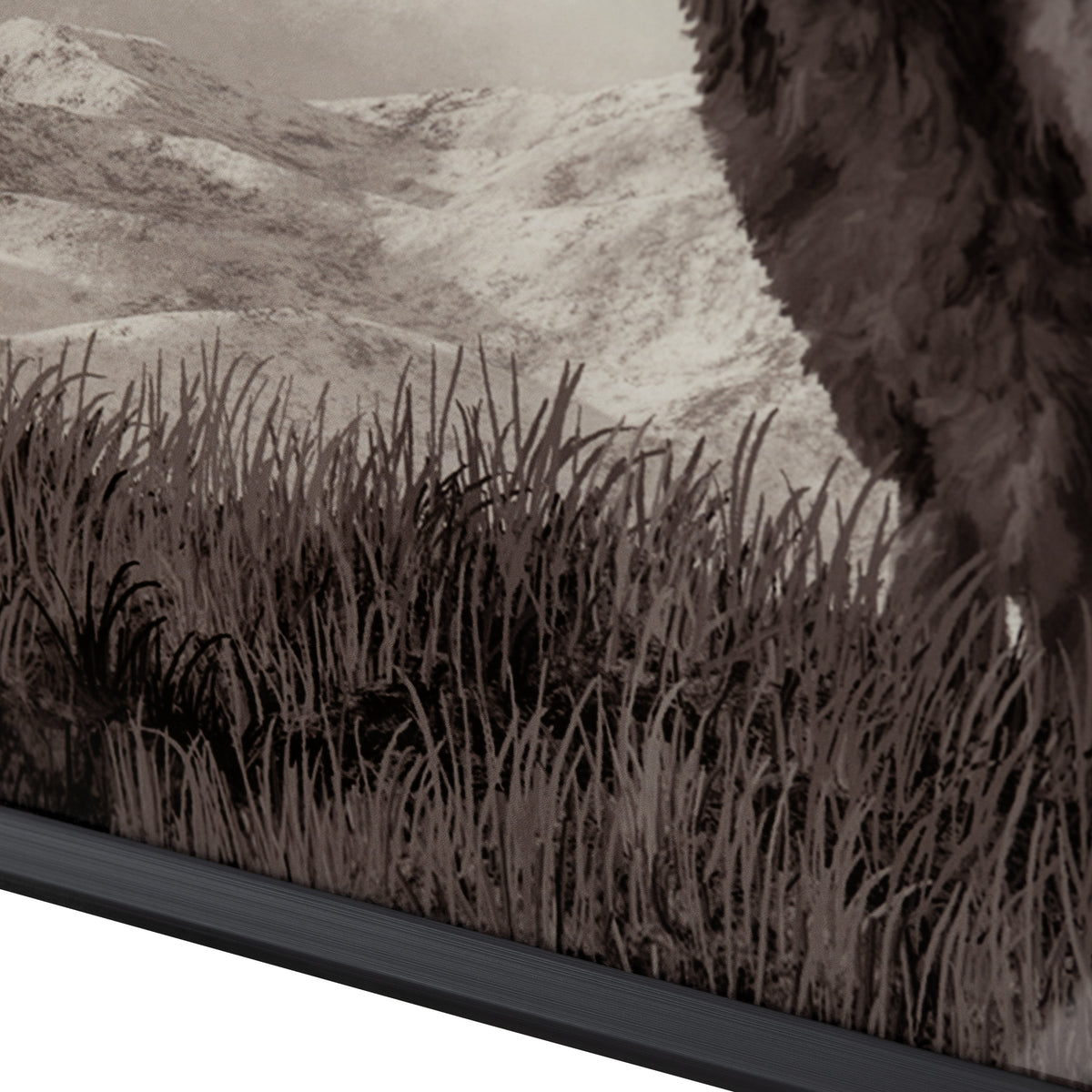Bison Life Grey/White Print by Crestview at Eve Furniture
