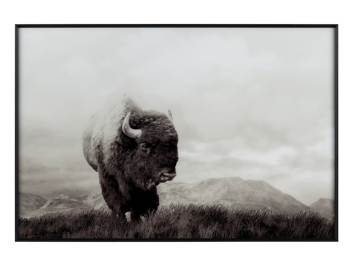 Bison Life Grey/White Print by Crestview at Eve Furniture