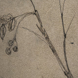 Black Chokecherry 3 by Mercana Studio a Hand Embellished Framed Art Print Matted under Glass by Mercana at Eve Furniture