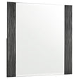 Blacktoft Black Rectangle Dresser Mirror by Coaster at Eve Furniture