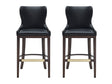 Blair Barstool in Black (set of 2) by Manhattan Comfort at Eve Furniture