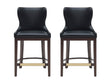 Blair Counter Stool in Black (set of 2) by Manhattan Comfort at Eve Furniture