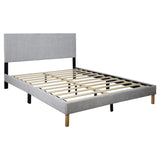 Bliss Light Gray Twin Platform Bed by Happy Homes at Eve Furniture