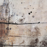 Blk Wht Bronze II by Jennifer Goldberger a Hand Embellished Textured Framed Canvas by Mercana at Eve Furniture